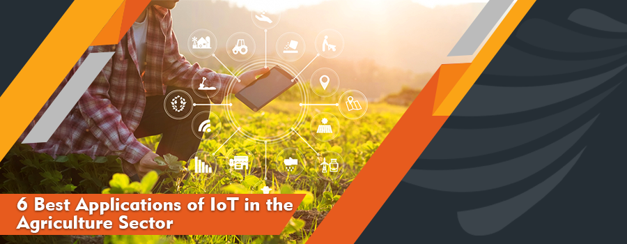 Read more about the article 6 Best Applications of IoT in the Agriculture Sector