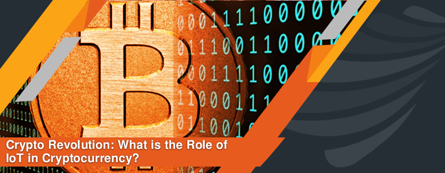 Read more about the article Crypto Revolution: What is the Role of IoT in Cryptocurrency?